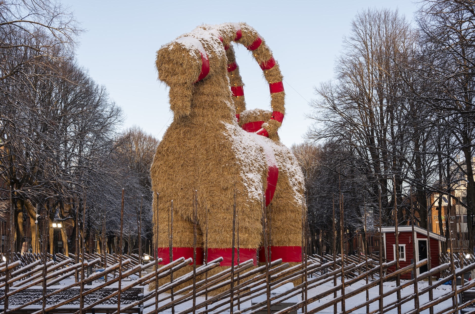 Gävlebocken i en inhängnad