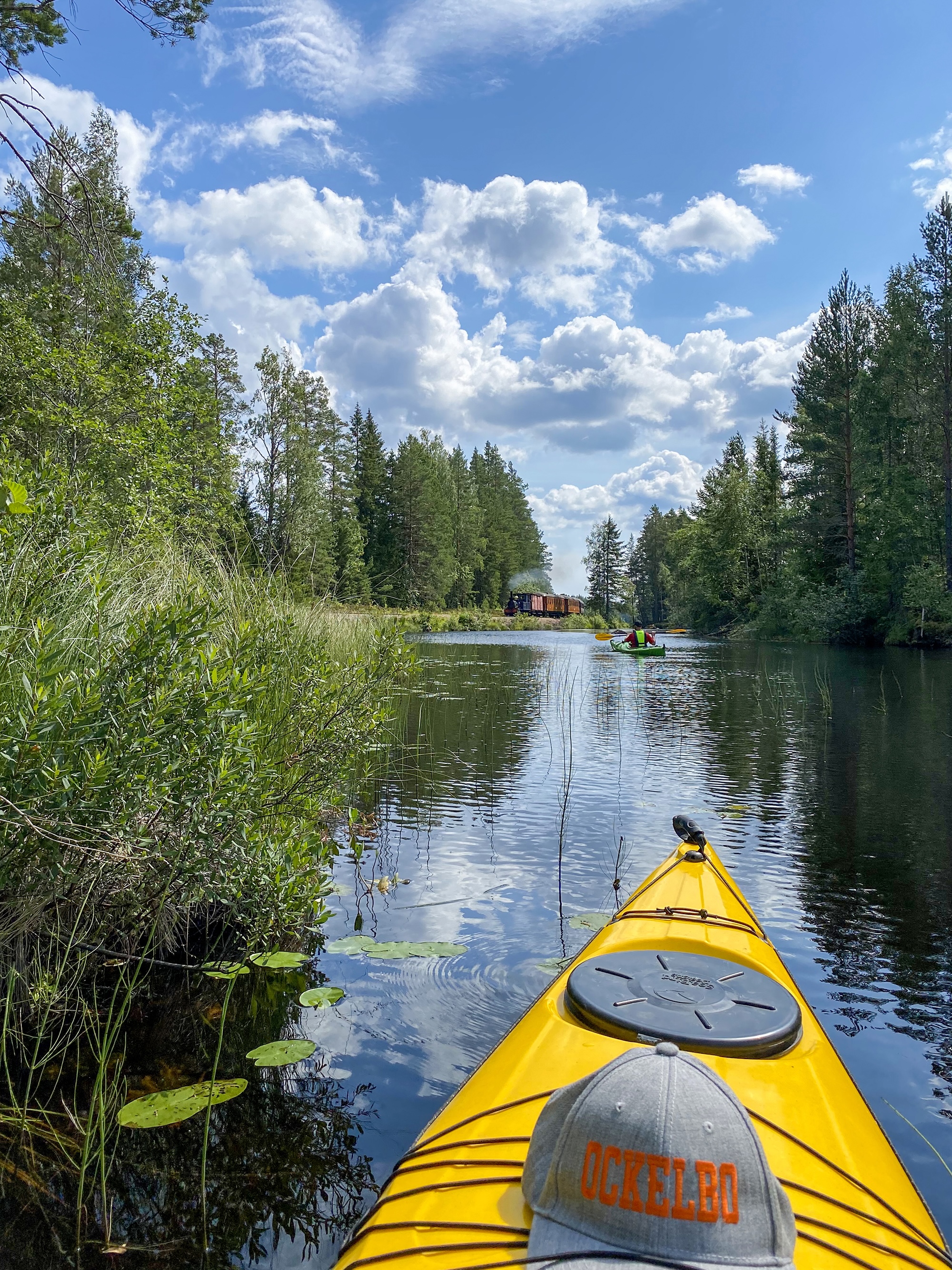 Kanot på stilla vatten som rinner genom skogen