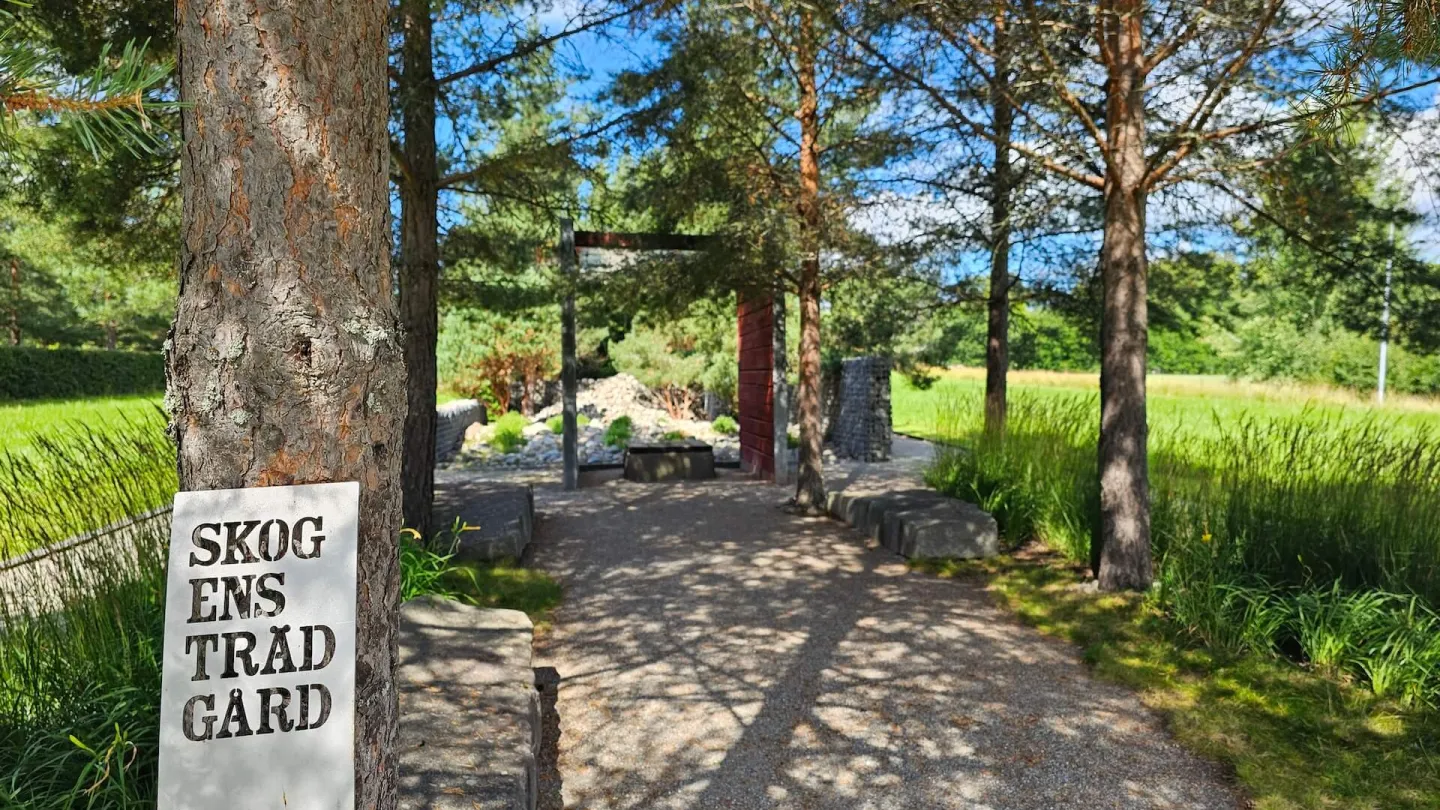 En grusgång genom en grön park