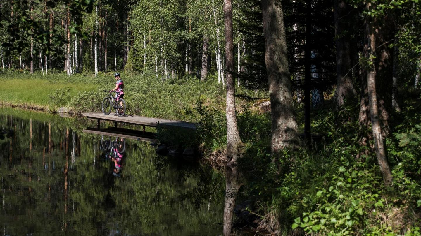 Cykling och bad i skogsjö