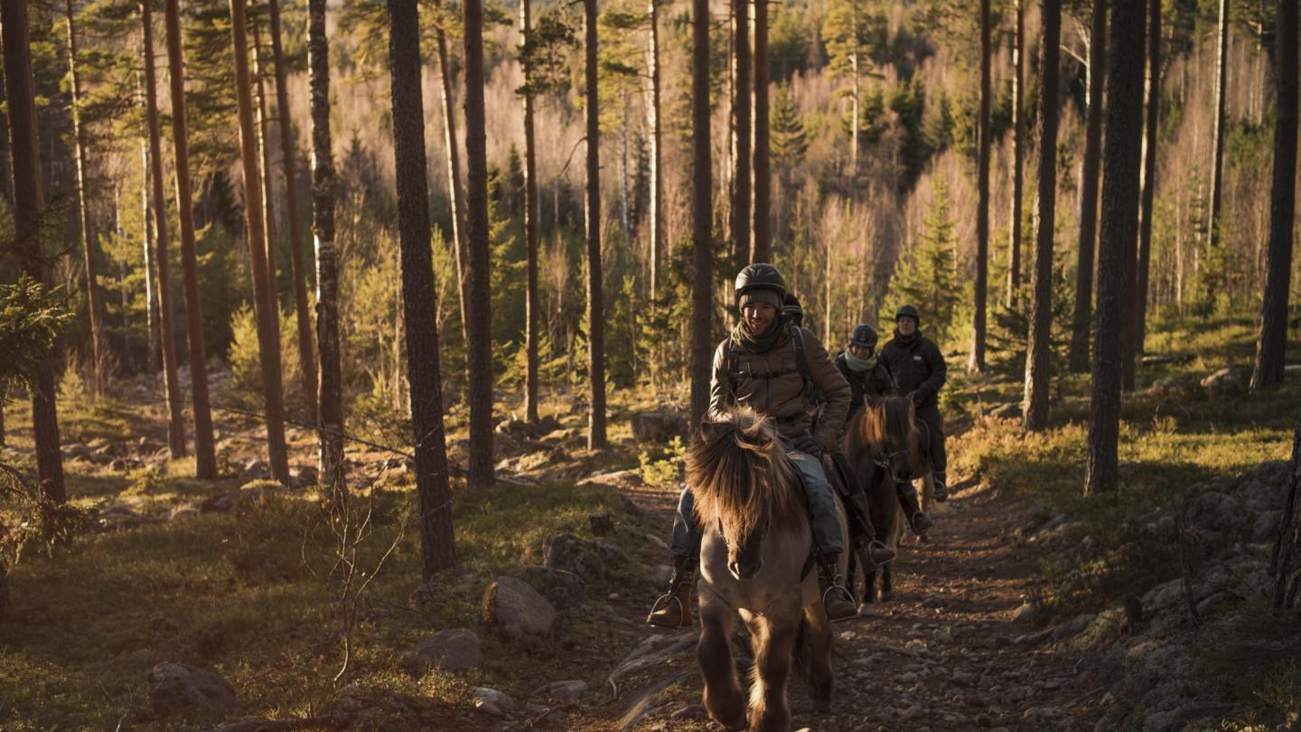 Horseback riding at Stilleben, Åmot.
