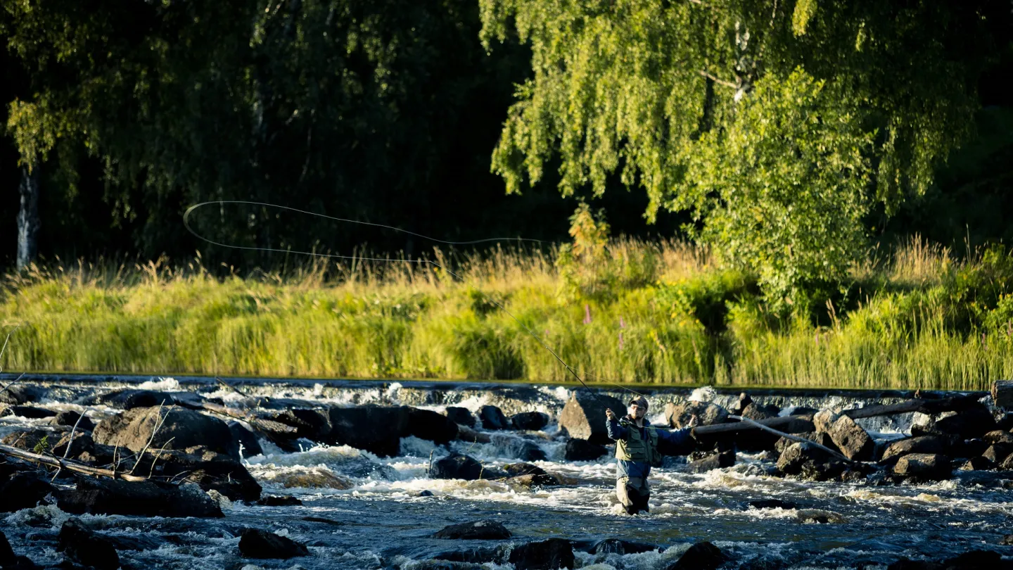 A person standing in streamy waters fishing