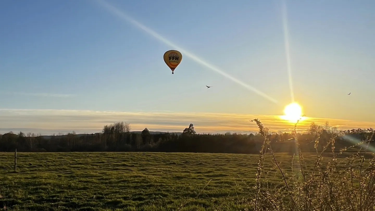 Luftballong i motljus söver äng