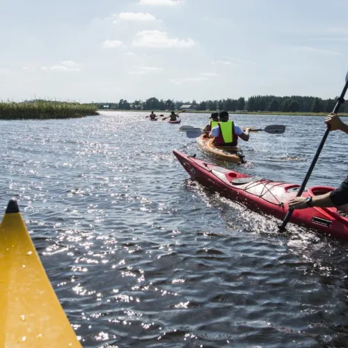 Paddling med kajak i Färnebofjärden. Foto Daniel Bernstål.