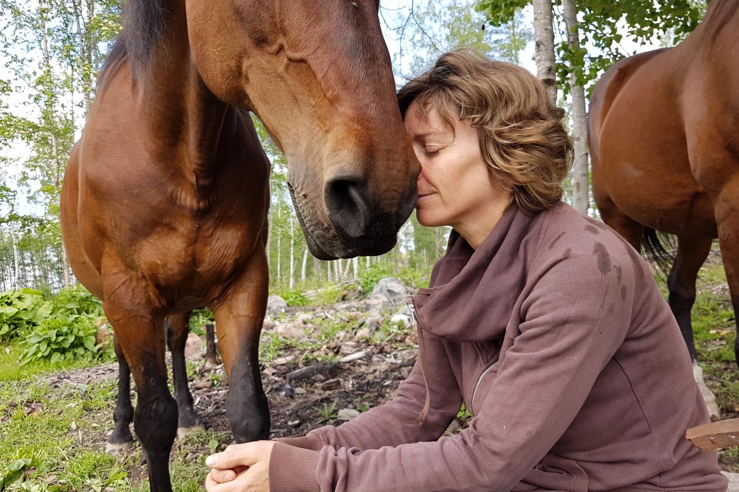 Healing by horses (equine therapy)