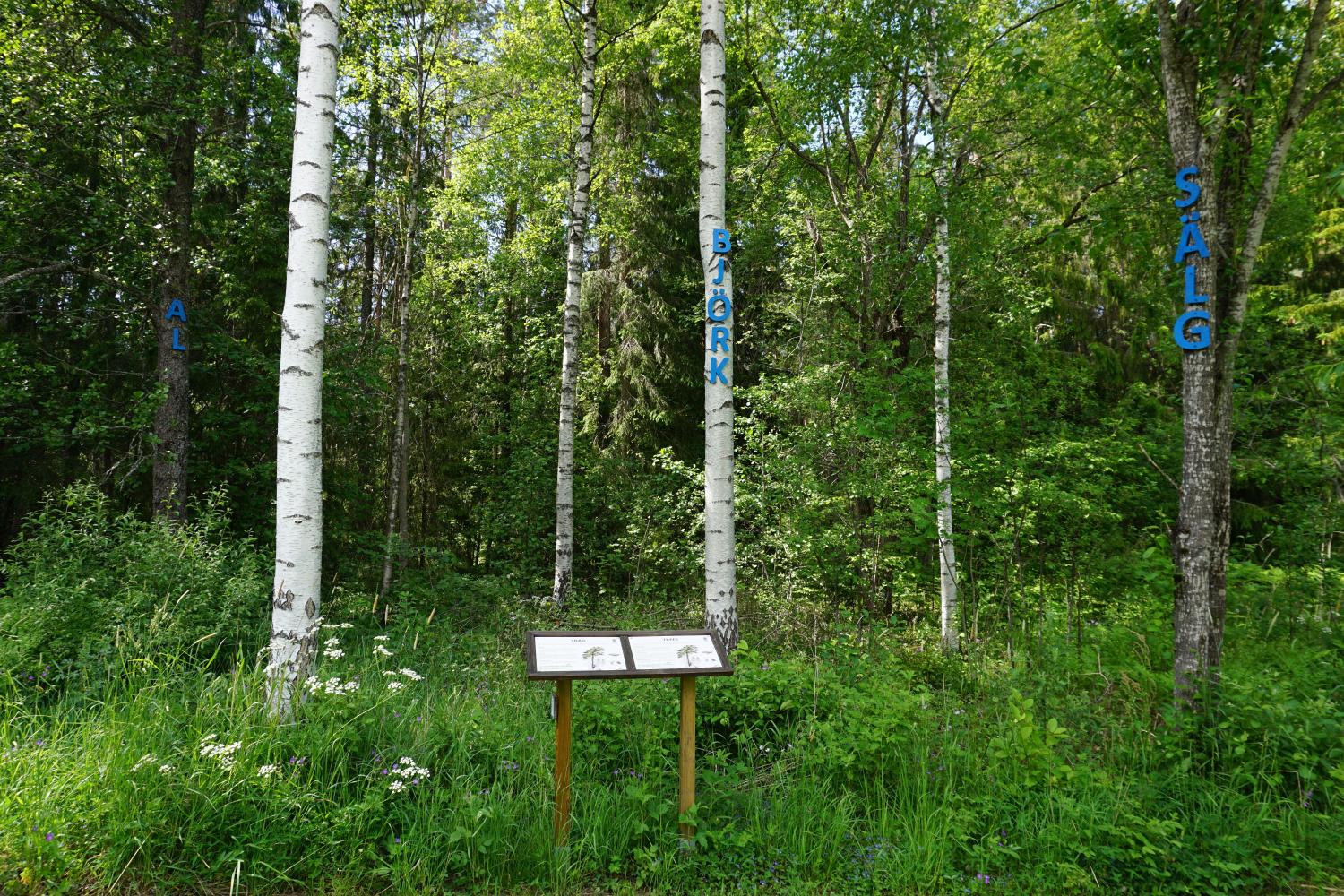 Skylt med beskrivande text och skyltar på träd längs med naturstigen i Hemlingby 