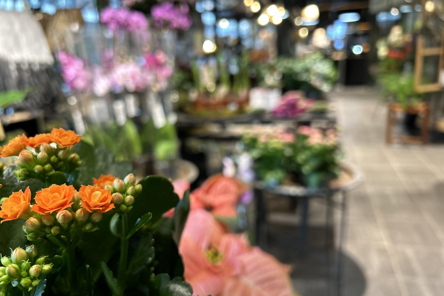 Forsbergs Blommor, Ombud för Interflora