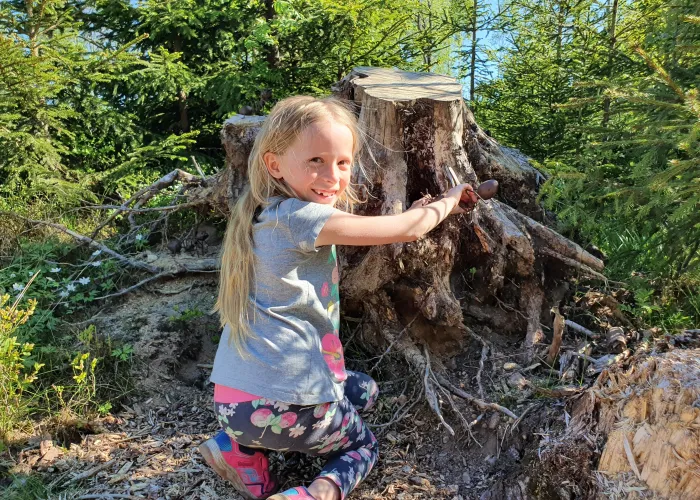 Flicka leker med myror