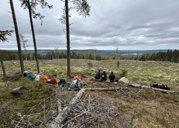 Grupp människor vilar i skogkanten