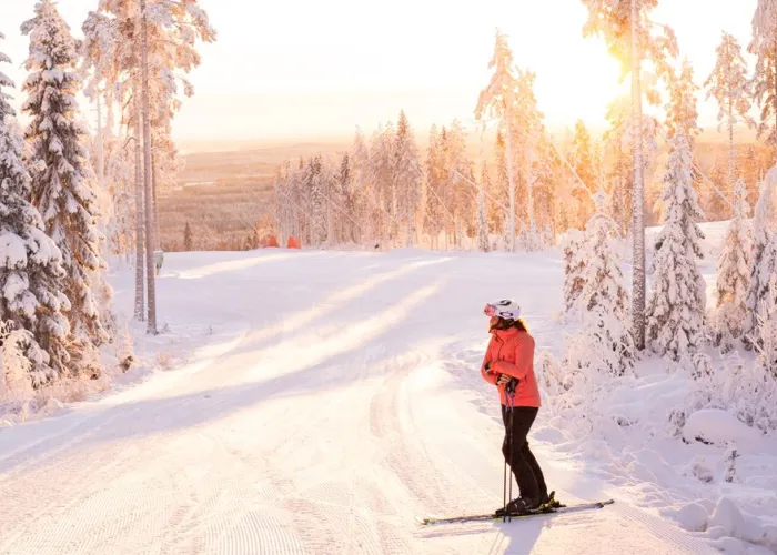 Skidbacke med stillastående skidåkare i motljus