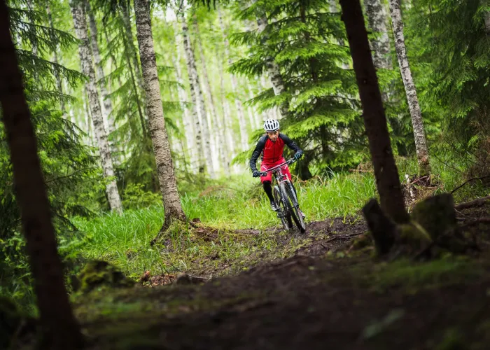 Cyklar MTB i skogen