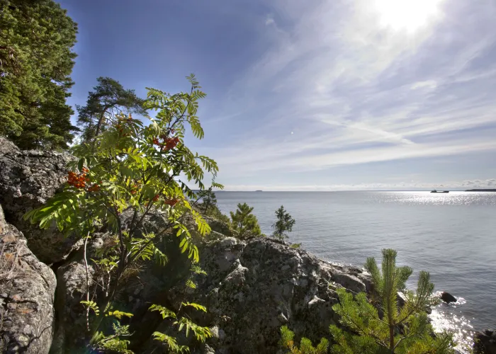 Vandra Norrlandets kustled