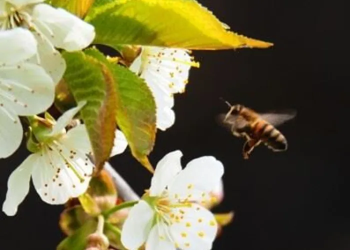 Natursafari för stora och små