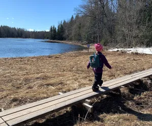 Barn som går på en språngbräda fin vår dag