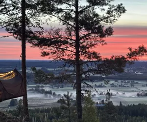 Utsikt över träd, tält och dal i skymning
