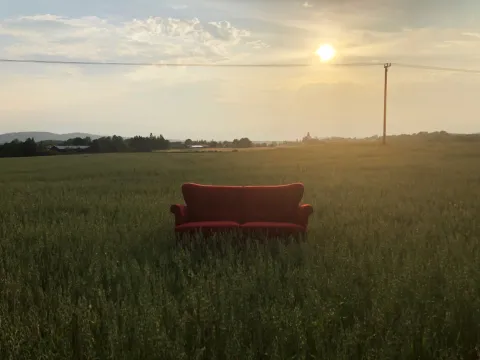 Soffa på en äng