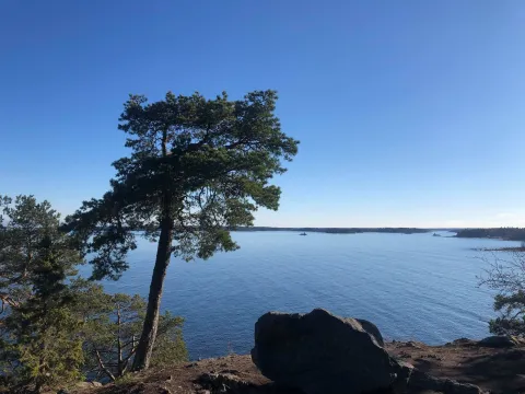 Gråberget vid Gävles kust. Foto Gävle kommun.