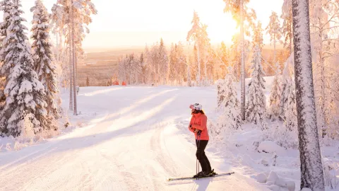 Skidåkare vilar sig i backen en fin vinterdag