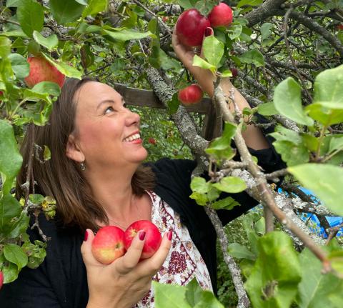 Linda från Matvärden plockar goda röda äpplen
