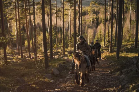 Icelandic Horseback Riding at Stilleben Sweden, Åmot.