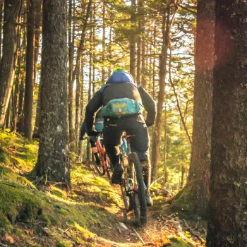 Cyklist i en grön skog i full fart bortåt