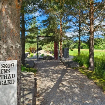 Grusgång genom en park