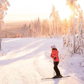 Alpin skidåkare vilar i backen som är i skogen