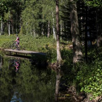 Mountainbike vid sjö i skogen. Foto: Daniel Bernstål.