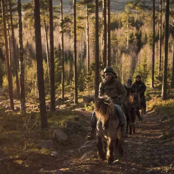 Horseback riding at Stilleben.