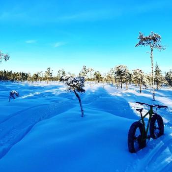 En fatbike cykle vilar mot ett träd i ett vinterlandskap en fin dag