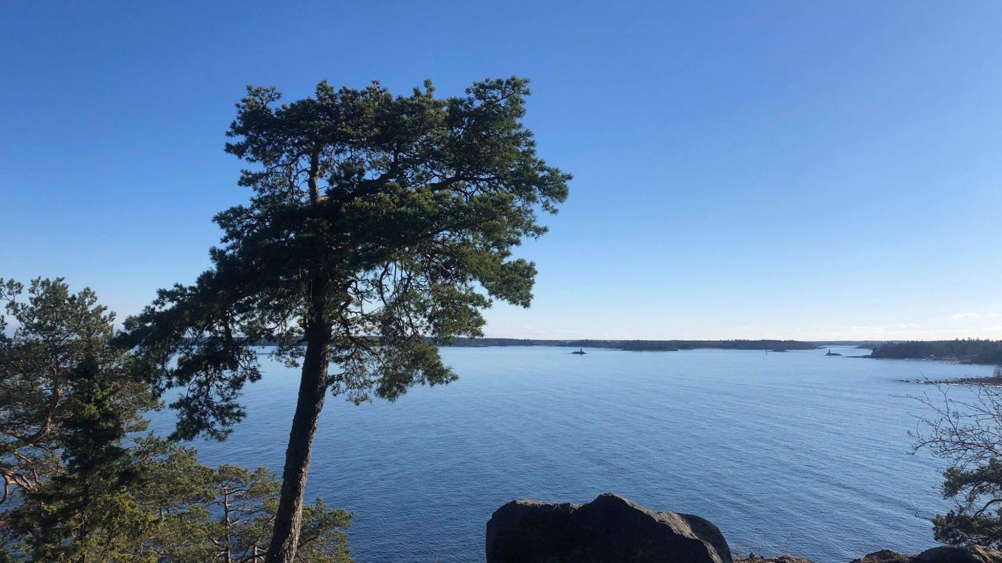 Havsutsikt från Gråberget. Foto Gävle kommun.