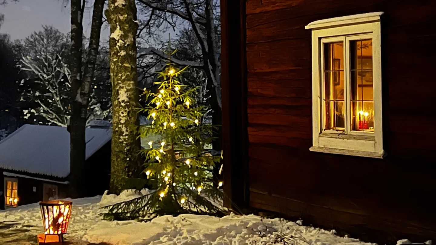 Röd stuga med vita knutar ich en belyst gran utanför i snölandskapet