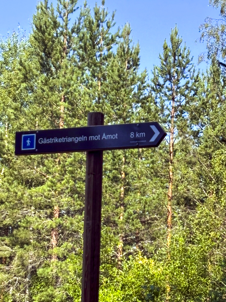 Skylt i skogen som visar vägen